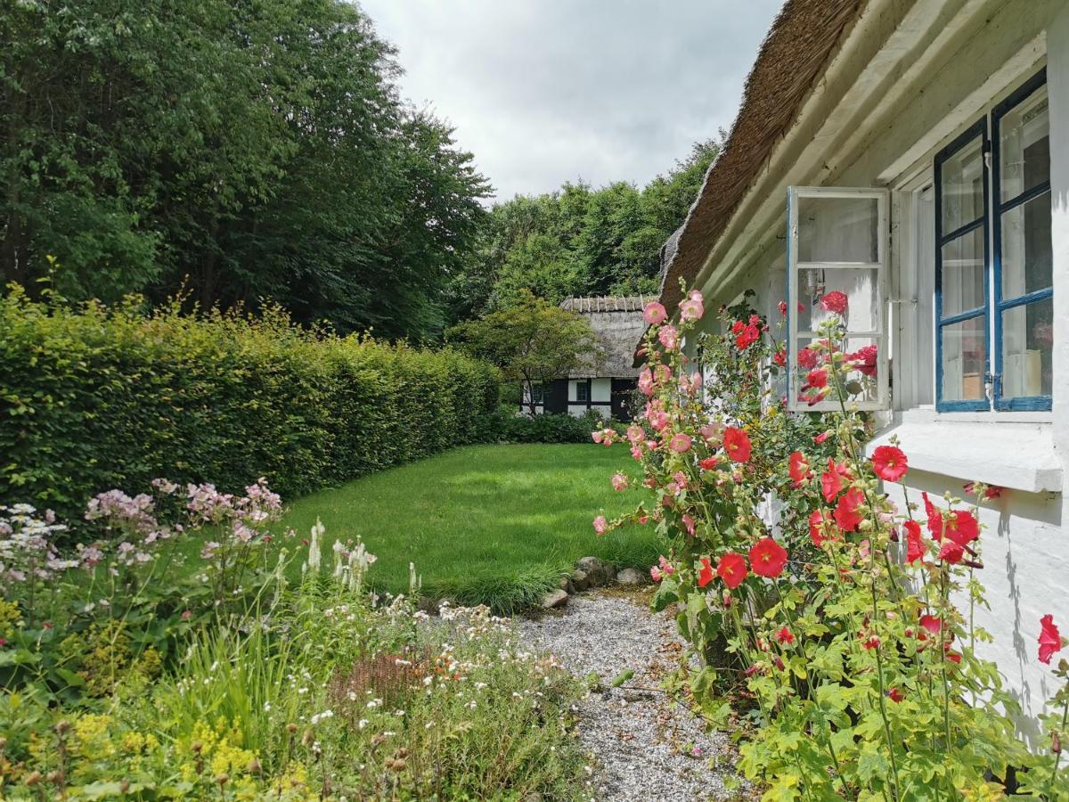 Plantepressen B&B Фоборг Екстер'єр фото