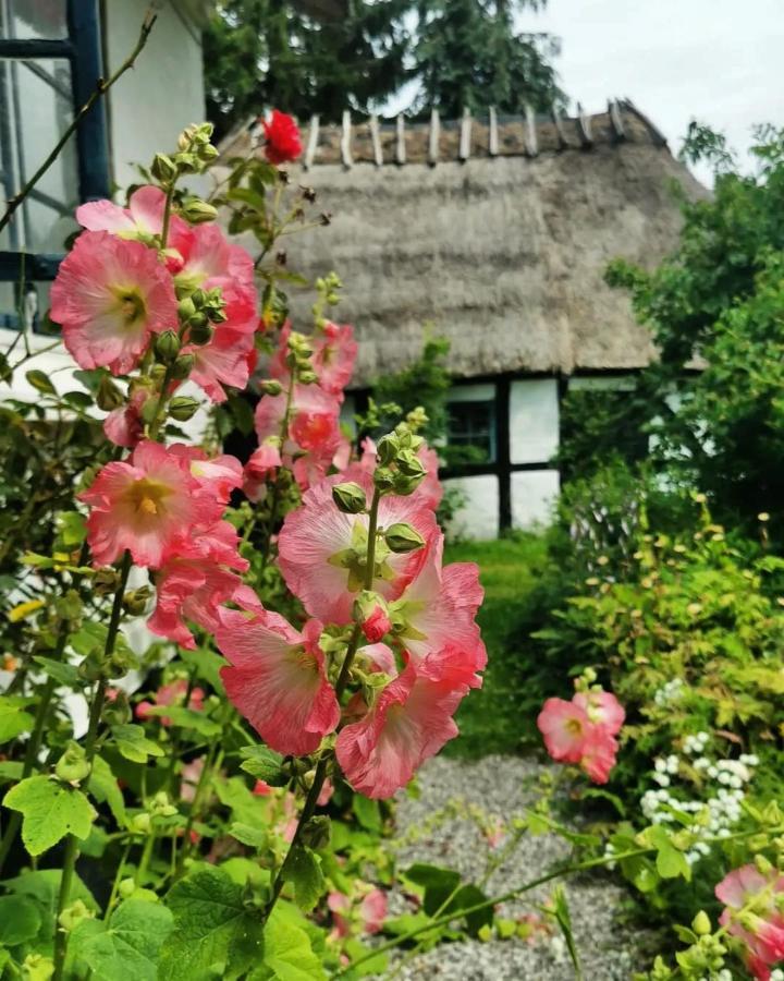 Plantepressen B&B Фоборг Екстер'єр фото
